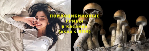 спайс Балахна