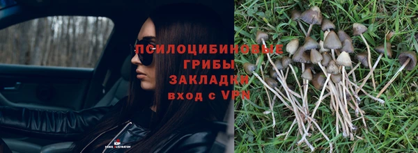 ECSTASY Баксан