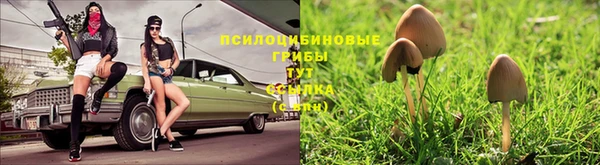 ECSTASY Баксан